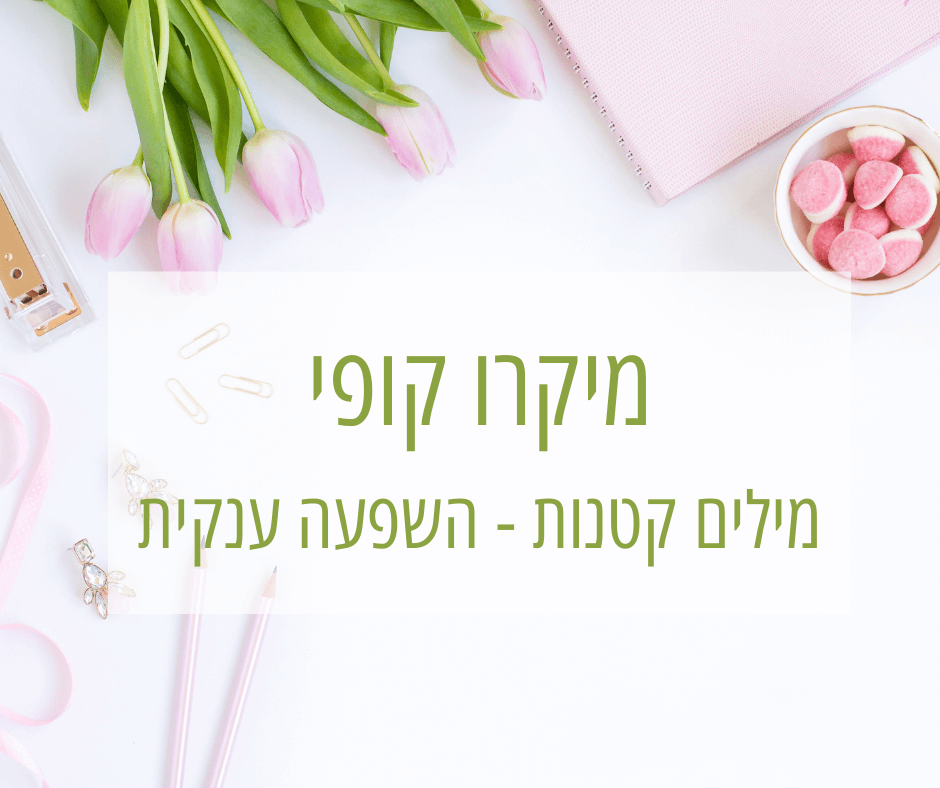 מיקרו קופי