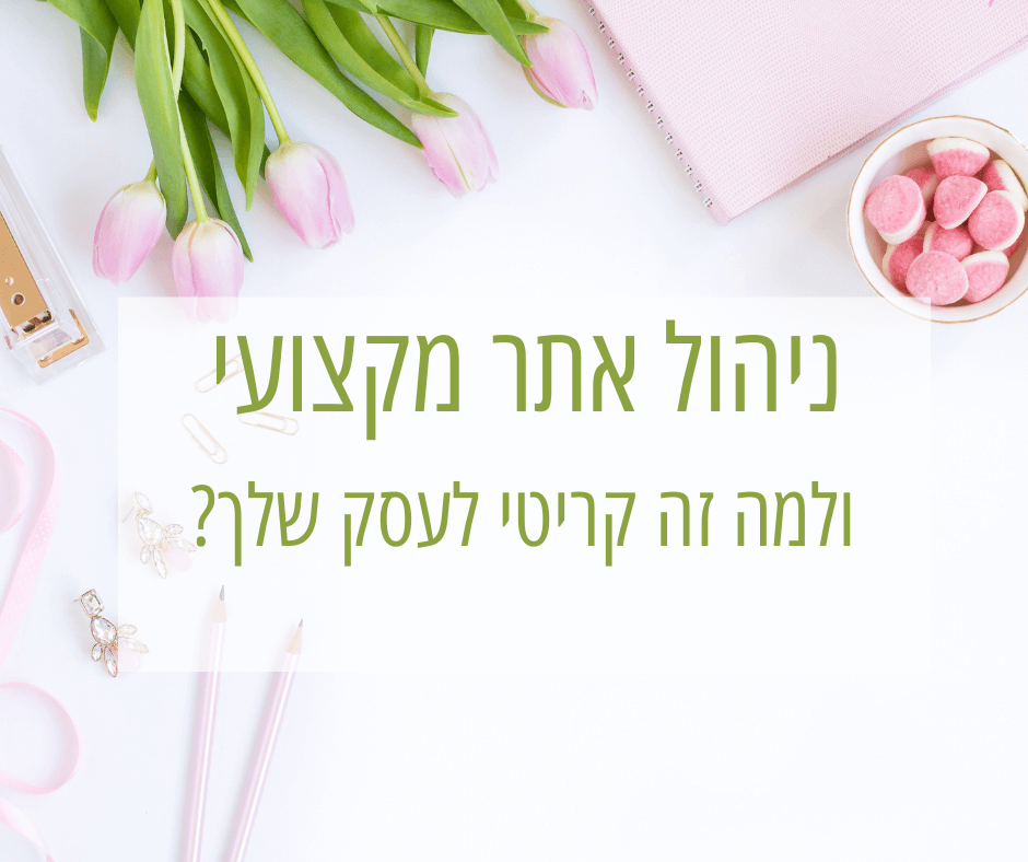 ניהול אתר מקצועי