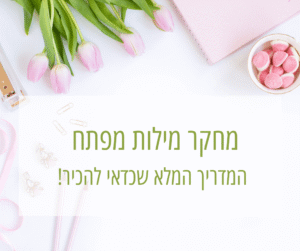 מחקר מילות מפתח