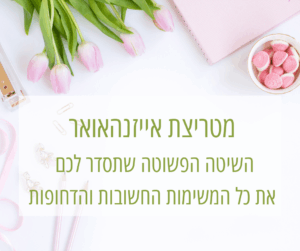 מטריצת אייזנהאואר